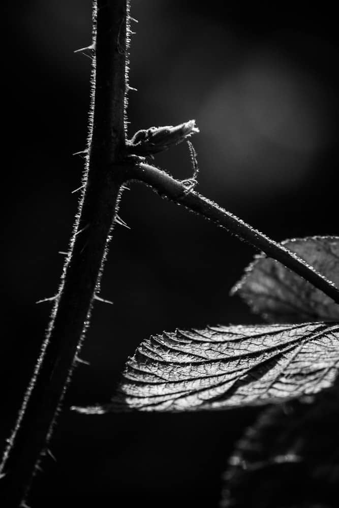 IMG_7289