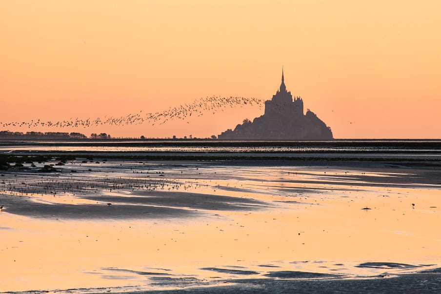 Foto van de Mont St Michel met zwerm vogels